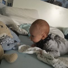 IMG 032